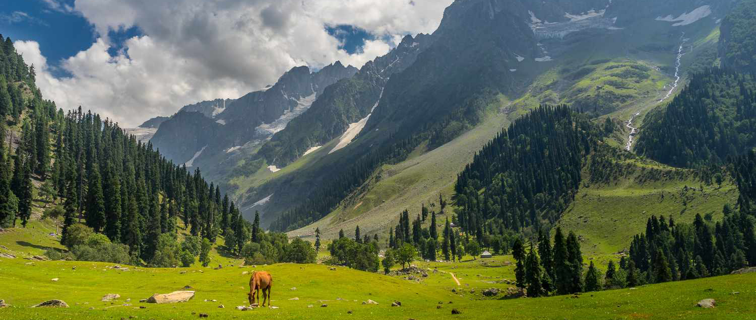 Kashmir Tour Package from Bangladesh