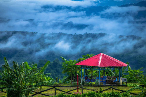 ঝাড়ভোজ