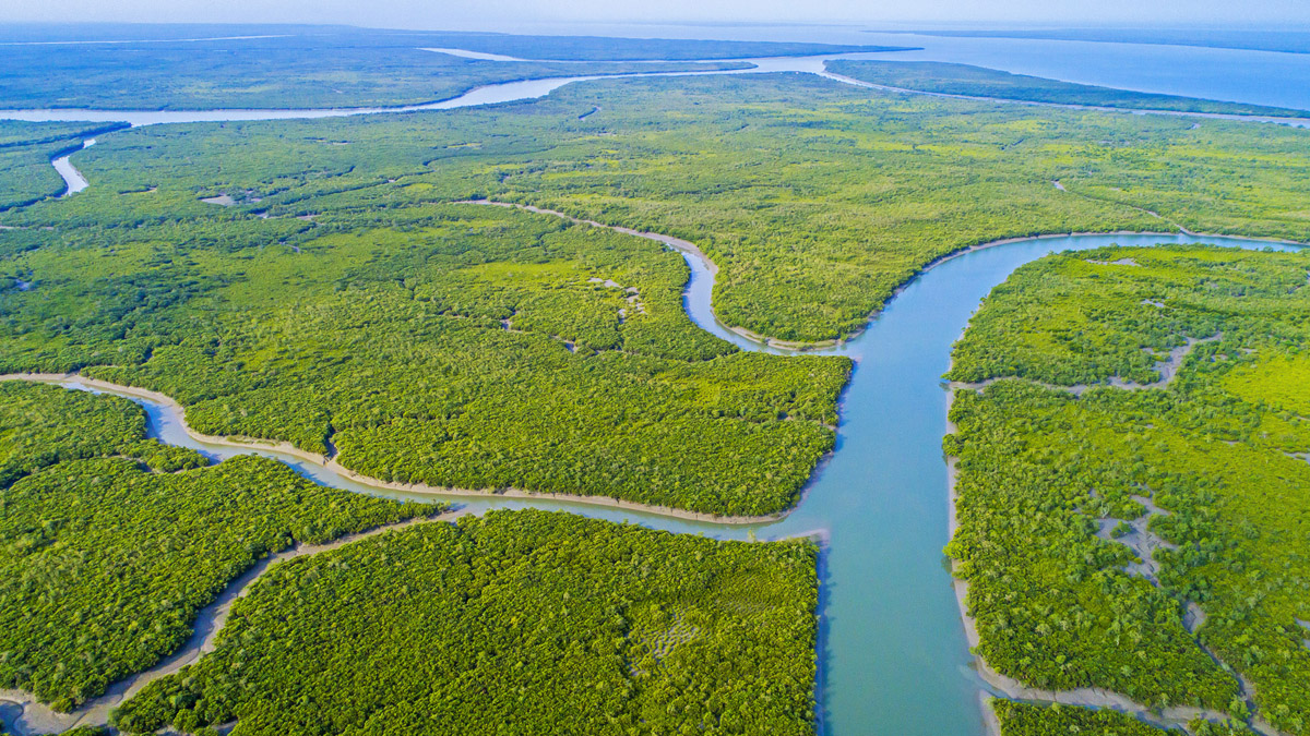 SUNDARBAN Tour Package - সুন্দরবন ট্যুর প্যাকেজ