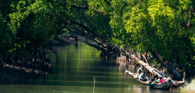 Sundarban Tour Package in Bangladesh
