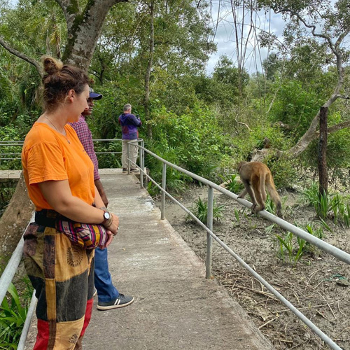 Sundarban Tour Package