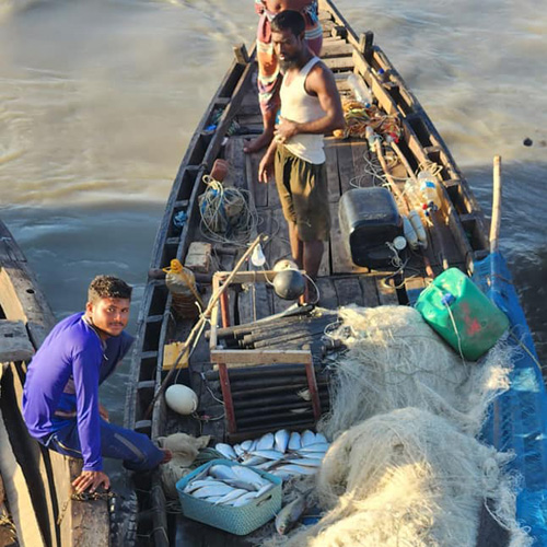 Sundarban Tour Package