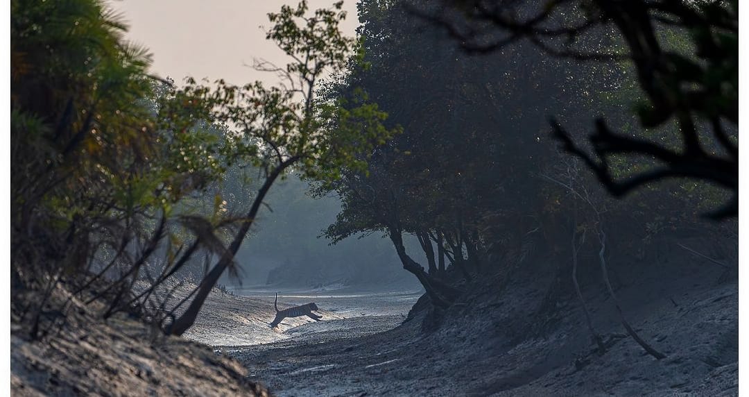 Sundarban Tour Package