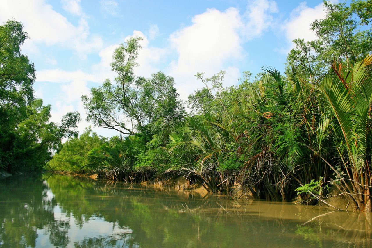 Sundarban Tour Package