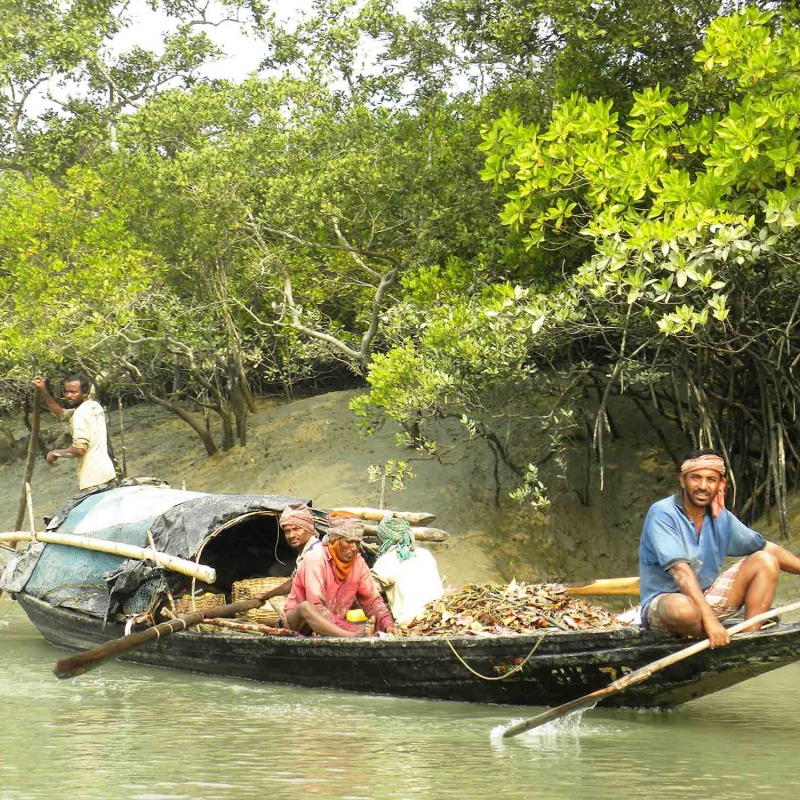Sundarban Tour Package